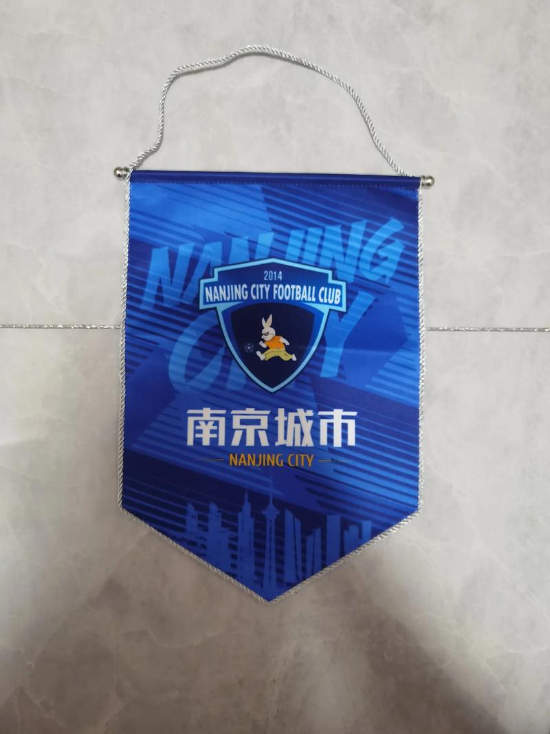 南京城市足球俱乐部名单，南京城市足球队？